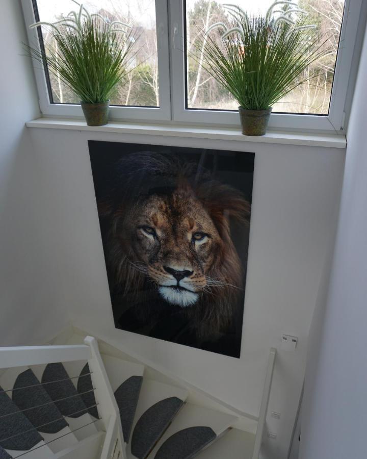 Ferienhaus Marny Trassenheide Exterior foto